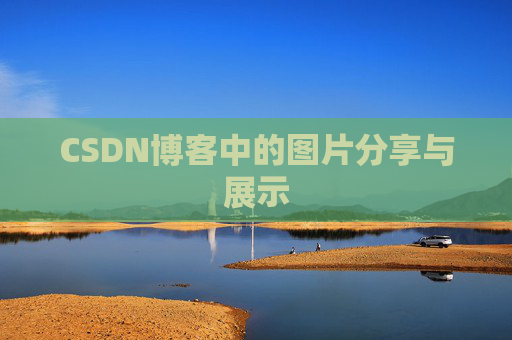 CSDN博客中的图片分享与展示